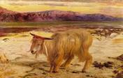 Scapegoat