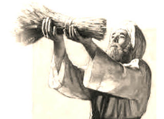 Jesus in the Offerings/Festivals in Leviticus | The Scarlet Thread